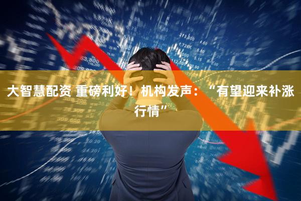 大智慧配资 重磅利好！机构发声：“有望迎来补涨行情”