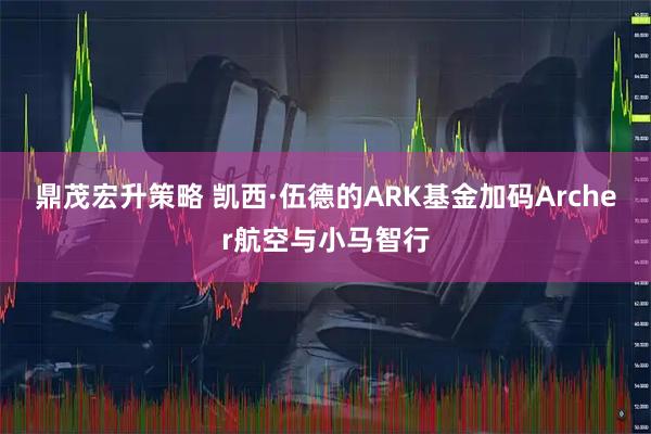 鼎茂宏升策略 凯西·伍德的ARK基金加码Archer航空与小马智行