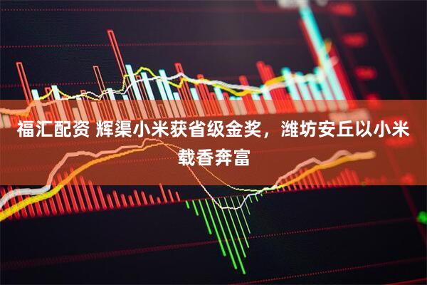 福汇配资 辉渠小米获省级金奖，潍坊安丘以小米载香奔富