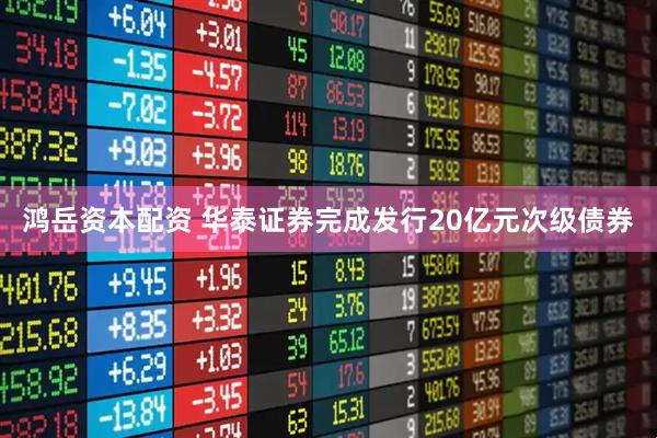 鸿岳资本配资 华泰证券完成发行20亿元次级债券