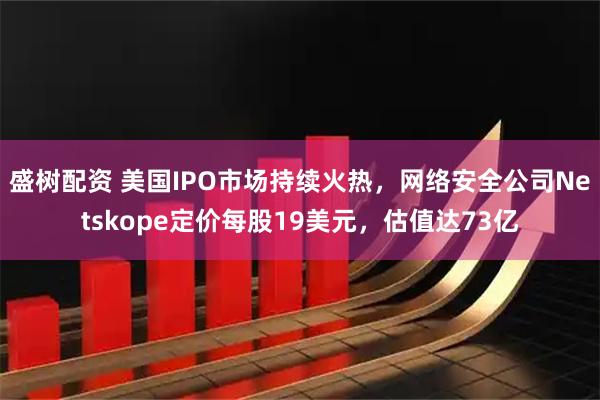 盛树配资 美国IPO市场持续火热，网络安全公司Netskope定价每股19美元，估值达73亿