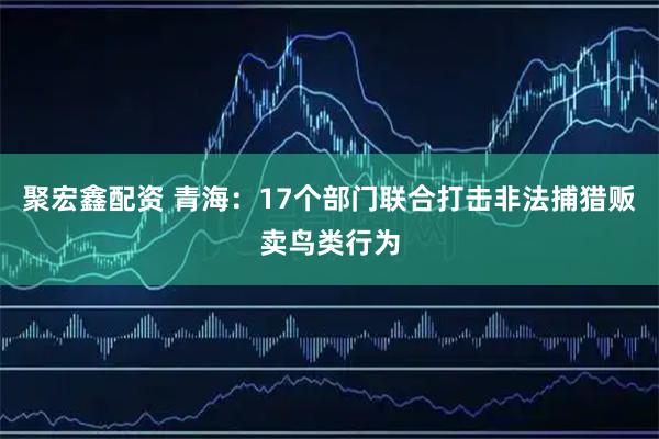 聚宏鑫配资 青海：17个部门联合打击非法捕猎贩卖鸟类行为