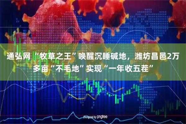 通弘网 “牧草之王”唤醒沉睡碱地，潍坊昌邑2万多亩“不毛地”实现“一年收五茬”