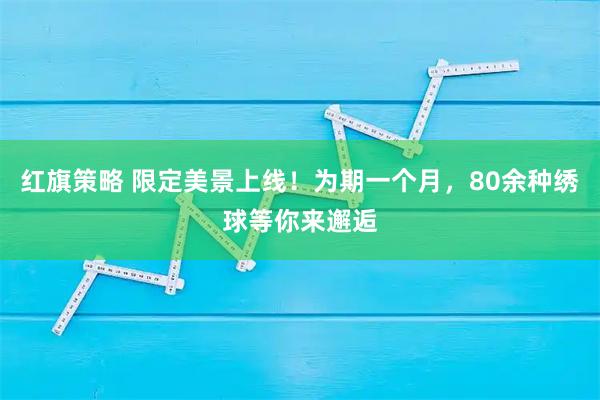 红旗策略 限定美景上线!为期一个月,80余种绣球等你来邂逅